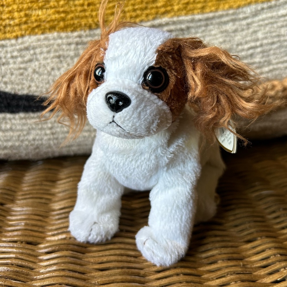 2/$20❤️- TOY | Ty Beanie Baby Regal the dog